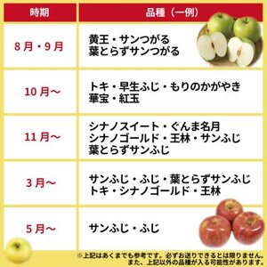【2025年8月発送予定】品種おまかせ りんご 約3kg 訳あり クール便【配送不可地域：離島・沖縄県】【1607166】
