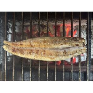 【国産うなぎ】特大サイズ180g-220g　三河一色産　6尾　炭火蒲焼き(タレ付き)【配送不可地域：離島】【1659385】