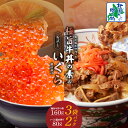 【ふるさと納税】イクラ 醤油漬け 80g × 2パック 黒毛和牛使用 牛丼の素 160g 3袋 セット 新鮮ないくら 厳選 昆布醤油 仕立て プチプチ食感 牛丼の具 濃厚な味わい レンチン 湯煎 海鮮 海の幸 魚卵 肉 牛肉 牛丼 牛皿 おかず 丼 冷凍 お取り寄せ 泉佐野市 送料無料