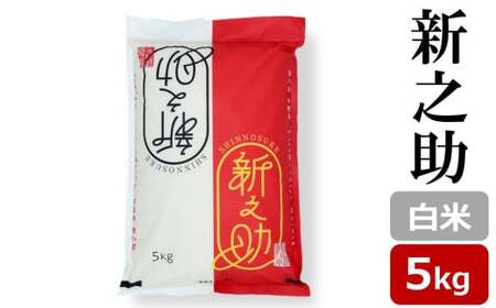 【令和7年産米】新之助 白米 5kg 新潟米 しんのすけ[Y0470]