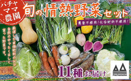 農園自慢の情熱野菜セット （ 11品 ）【 野菜 野菜セット おすすめ 詰め合わせ 野菜詰め合わせ 野菜 無農薬 野菜 ﾔｻｲ 】