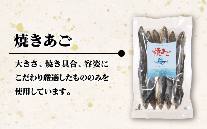 【上五島の伝統的な味をご家庭で】 五島列島産 厳選 焼きあご 100g×6袋【新魚目町漁業協同組合】 [RBC002]