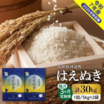 ふるさと納税 河北町 【令和7年産米】2026年2月下旬発送 はえぬき30kg(10kg×3ヶ月)隔月定期便 山形県産