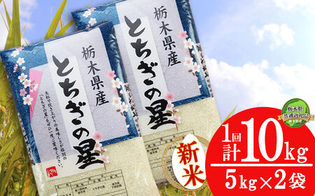 とちぎの星 10kg（5kg×2袋）【11月発送】【先行予約】【栃木県共通返礼品】 | 米 こめ コメ kome 白米 精米 お米 とちぎのほし トチギノホシ ﾄﾁｷﾞﾉﾎｼ 粘り 弾力 冷めても美味しい 丼もの カレー 新米 栃木米 令和7年度米 令和7年度 2025年度米 2025年度 ブランド米 栃木県 特産品 送料無料 栃木県 下野市 しもつけ市