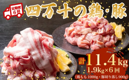 【6ヶ月連続】四万十ブランド 鶏肉1kg 豚肉900g（計1.9kg×6回) 11.4kg 6回定期便 6Fコース｜ 四万十ポークスライス 四万十ポーク 豚バラ肉 小分け 小間切れ スライス 切り落とし 冷凍 真空パック 細切れ 切身 カット 一口大 カット済み  四万十鶏 鳥肉 とりにく 鶏もも 国産 ブランド 唐揚げ 煮物 鍋 チキン 高知県 須崎市 TM138000