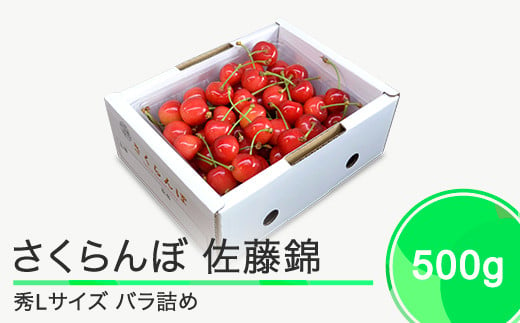 
            さくらんぼ 佐藤錦 秀L 500g 2025年産 令和7年産 山形県産 ふるさと納税 果物 くだもの フルーツ 期間限定 冷蔵配送 先行受付 グルメ 取り寄せ ご当地 特産 産地 直送 送料無料 東北 山形県 人気 ry-snslb500
          