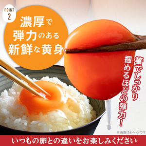 【3ヶ月定期便】【山ちゃん家の生みたて葉酸たまご】赤玉元気卵（40個入り）［132Y07-T］