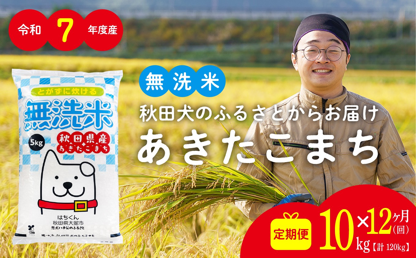 
                  【定期便12ヶ月】秋田県産あきたこまち(無洗米)10kg　/ 米 無洗米 10kg 白米 令和7年産 秋田県産 あきたこまち 5kg×2袋 おにぎり 大館 東北 秋田 小分け こわけ 大館市 10キロ 10ｷﾛ 10きろ
                