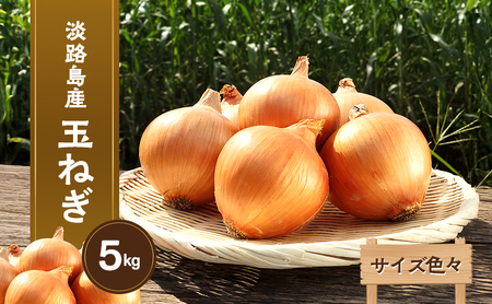 【サイズ色々】淡路島産玉ねぎ5kg 兵庫県 洲本市 淡路島