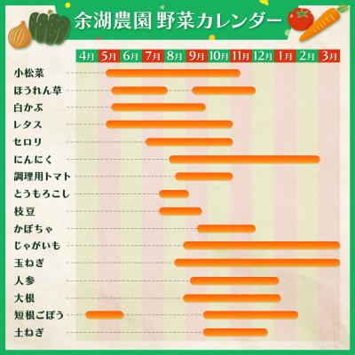ふるさと納税 恵庭市 北海道産季節の野菜詰め合わせ 6種類8品【31000503】 |  | 01