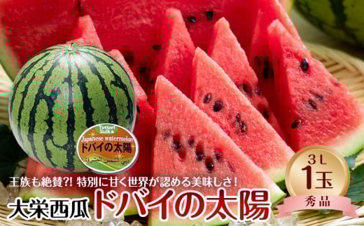 732.【先行予約】【JA】大栄西瓜「ドバイの太陽」秀3L×1玉 ※着日指定不可 ※離島への配送不可 ※2025年6月中旬頃～7月中旬頃に順次発送予定【大栄西瓜 西瓜 すいか スイカ フルーツ 果物 鳥取県 北栄町 おすすめ 人気】