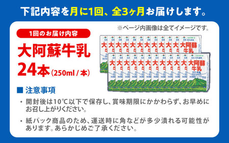 【全3回定期便】大阿蘇牛乳 ロングライフ 250ml 24本（12本入り×2ケース） 6L 牛乳[AYAC027]