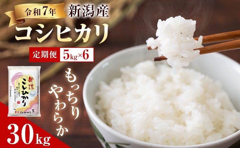 
            R7年産米【定期便】新潟産コシヒカリ5kg×6回
          