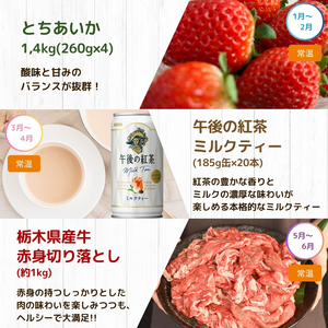 下野市のうまいもん定期便6回 | とちあいか 午後の紅茶ミルクティー 栃木県産牛 赤身切り落とし トロピカーナ100％グレープフルーツ 栃木県産とちぎの星10kg 栃木県産黒毛和牛切り落とし 月ごとに