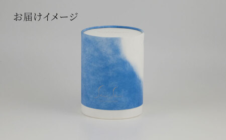 【美濃焼】SaiSui Blue（間取藍花）植物付き【大東亜窯業】インテリア 雑貨 観葉植物 多肉植物 サボテン グリーン 水で育てる 省スペース 手軽 簡単 初心者 写真映え かわいい おしゃれ [