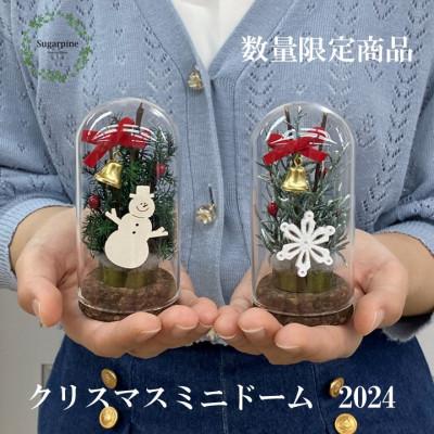 ふるさと納税 春日部市 プリザーブドフラワーアレンジ【コルクミニドーム 2個セット　雪の結晶/雪だるま】 シュガーパイン | 