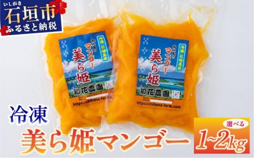 
                  【選べる容量】冷凍美ら姫マンゴー 1～2kg
                