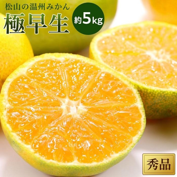 【ふるさと納税】【先行予約】【2025年10月中旬から発送予定】温州みかん「極早生」＜秀品＞約5kg