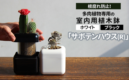 根腐れ防止！多肉植物専用の室内用植木鉢「サボテンハウス(R)」 かわいいキューブ型植木鉢 日用品 贈答品 プレゼント ギフト _GD01 _GD02