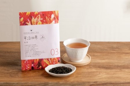 紅茶 宇治田原紅茶 国産 フルーティー 紅茶【50g×5袋】