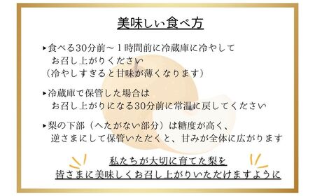 熊本県ＪＡくま産 球磨の梨 5kg(12玉～16玉 旬な品種) お届け時期：2025年8月上旬～10月上旬