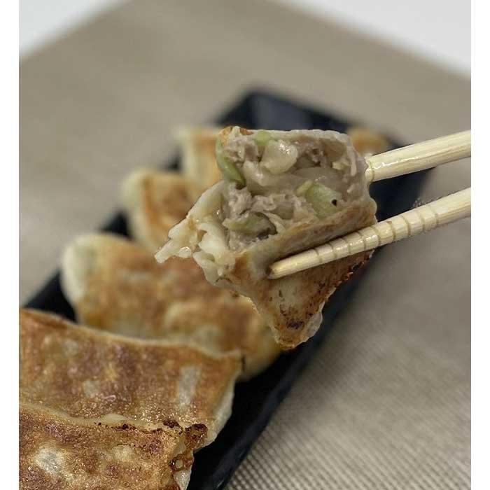 【ふるさと納税】肉汁爆発！特製プレミアム肉餃子【食品 加工食品 人気 おすすめ 】
