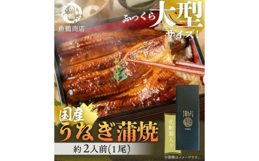 
大型サイズ ふっくら柔らか 国産うなぎ蒲焼き 1尾（約2人前）化粧箱入 【土用の丑の日のうなぎ】
