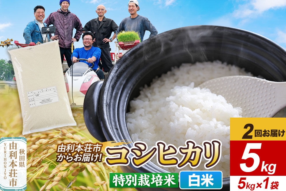 
                  《定期便2ヶ月》令和7年産【白米】特別栽培米 コシヒカリ 5kg 秋田県産 [コシヒカリ 米 お米 こめ 白米 精米 ブランド米 特別栽培米 食卓 おにぎり 秋田県産 秋田]
                