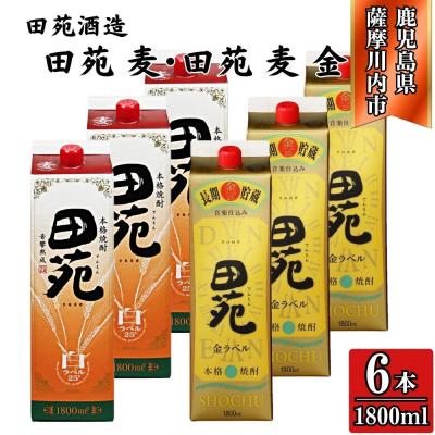ふるさと納税 薩摩川内市 田苑白・田苑金 麦焼酎 25度 1800mlパック×各3本(計6本) 田苑酒造 DSR-805