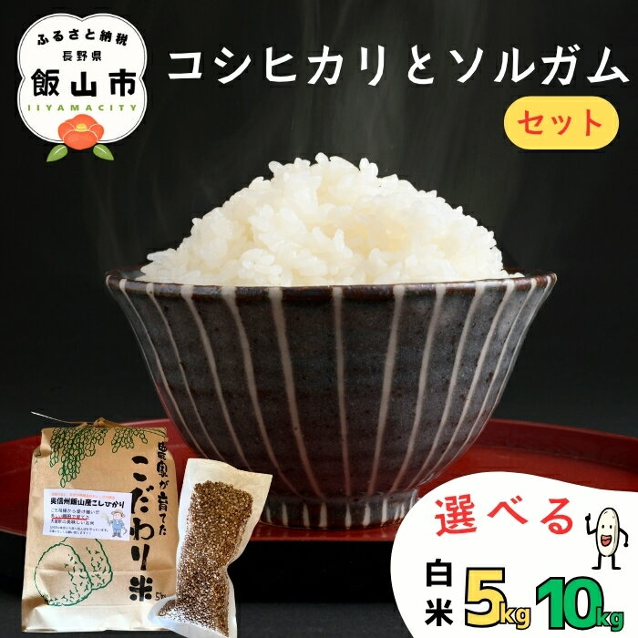 【ふるさと納税】＼棚田米／ コシヒカリ ソルガム セット令和7年産 精米 選べる 内容量 5kg 10kg リーゼンハイム大屋 【 お米 米 コメ ご飯 ごはん コシヒカリ棚田 棚田米 セット そるがむ ソルガム グルテンフリー 長野県 飯山市 】