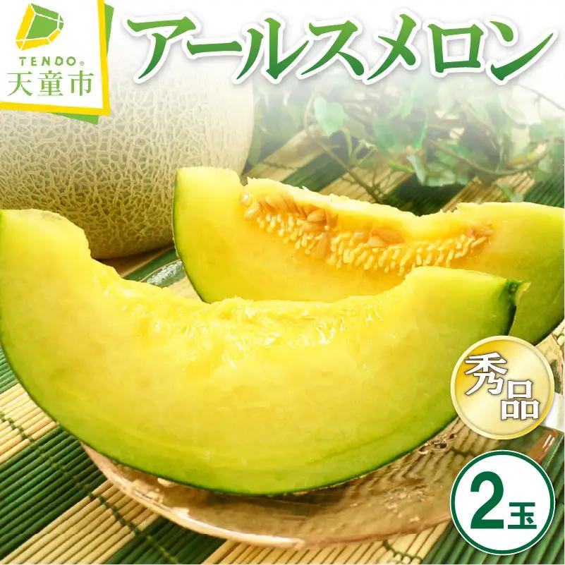 アールスメロン 2玉 果物 山形 メロン