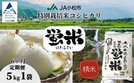 【先行予約】【定期便】 令和8年産 特別栽培米 コシヒカリ 5kg×6ヶ月 蛍米 精米 特別栽培米【JA小松市】