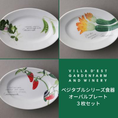 ふるさと納税 東御市 【ヴィラデストワイナリー】ベジタブルシリーズ食器　オーバルプレート(楕円形)3枚セット