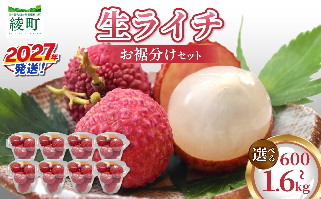 
                  先行予約 《選べる内容量》 数量限定 希少 綾生ライチ お裾分け セット 果物 フルーツ くだもの 国産ライチ 2027年 トロピカルフルーツ 南国フルーツ 冷蔵 ジューシー 高級 デザート ギフト 贈り物 プレゼント ご褒美 おすすめ 宮崎県 送料無料 【JA綾町】_A0114-1053-SKU
                