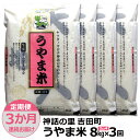 【ふるさと納税】【定期便3か月連続お届け】神話の里/吉田町「うやま米」コシヒカリ 8kg（2kg×4）