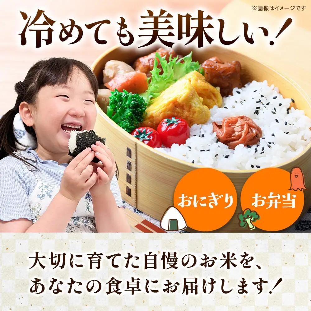 令和7年産【白米】《定期便12ヶ月》あきたこまち 20kg（5kg×4袋） 秋田県 横手市