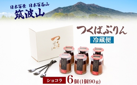 つくばぷりん ショコラ・ヴィノ・プディング ６個 プリン ぷりん ショコラ チョコレート 牛乳 ミルク 卵 赤ワイン スイーツ 贅沢 洋菓子 おやつ 冷菓 ご褒美 デザート 人気 グルメ お取り寄せ 