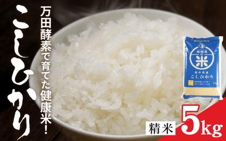 令和7年産 万田酵素で育てた健康米 福井市産こしひかり5kg [A-150002] / こしひかり