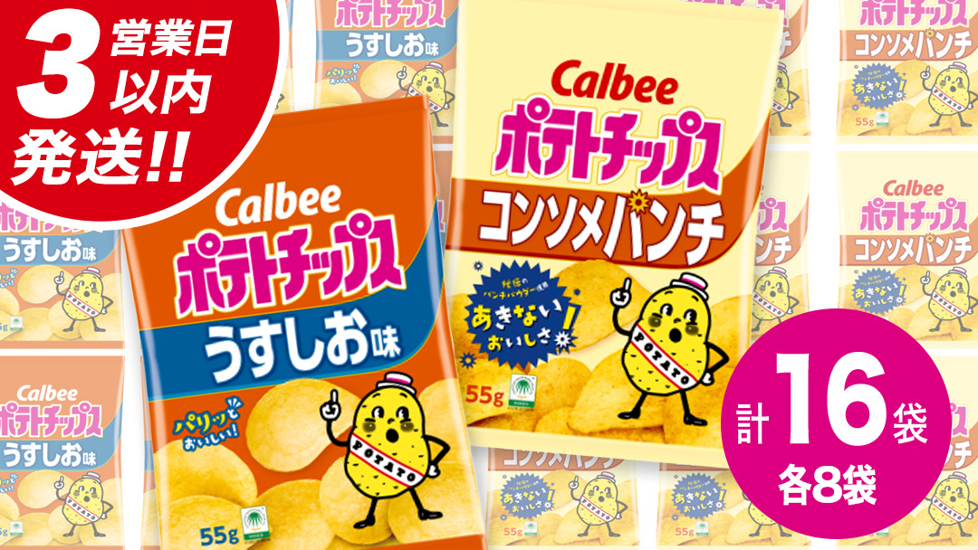 【最短3営業日！スピード発送】 カルビー ポテトチップス レギュラー サイズ 2種類 詰め合わせ 16袋（ うすしお ／ コンソメ ） ポテチ お菓子 おかし 大量 スナック おつまみ ジャガイモ じ