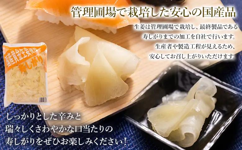 寿司ガリ 1kg×3袋 がり Xnb-0012