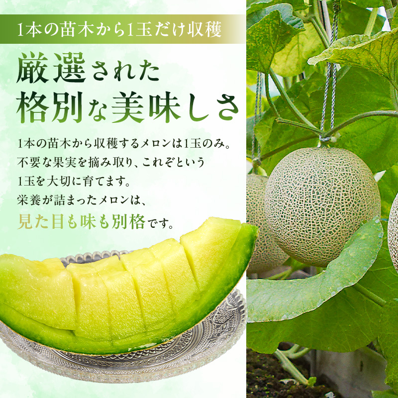 南房総市産アクアメロン（マスクメロン）1個 メロン 高級 フルーツ 果物 果汁 みずみずしい 別格 厳選 化粧箱入り ギフト