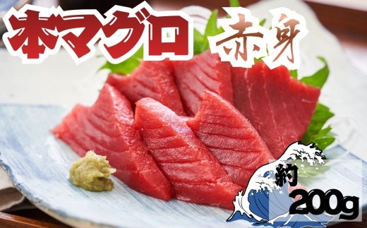 【9月上旬から順次発送】本マグロ 赤身 1柵 国産 本鮪 
