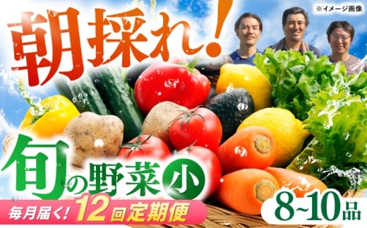 【12回定期便】 土佐の太陽をいっぱいに浴びた旬の野菜セット小 / 野菜 やさい 定期便 12回 セット 詰め合わせ 朝採れ 新鮮 旬 無農薬 レシピ 冷蔵 高知 土佐【土佐野菜】 [ATBA007]