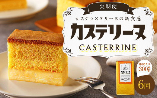 【全6回定期便】長崎カステリーヌ 1本 ／ タナカヤ カステラ かすてら スイーツ デザート お菓子 菓子 長崎県 長崎市