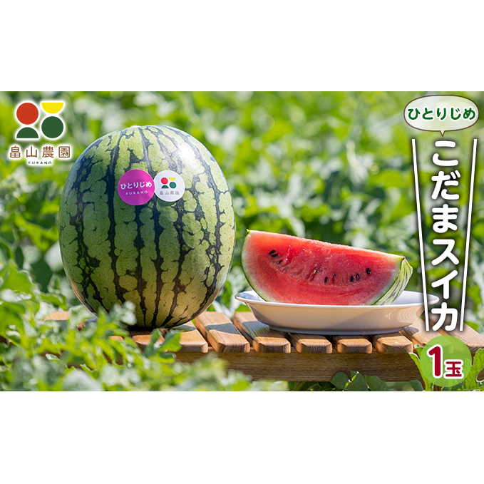 【2026夏発送】ひとりじめ こだま スイカ 2玉 北海道 富良野産 すいか 西瓜 夏 フルーツ ふらの 甘い 糖度 小玉 (畠山農園）