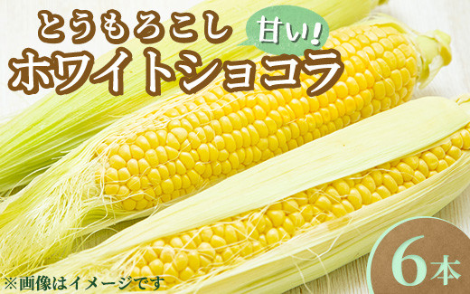 
                  【先行受付】とうもろこし ホワイトショコラ 6本〔B-102〕 ｜ トウモロコシ コーン 先行予約 数量 限定 生 甘い 野菜 やさい 那須 栃木県 那須町　※2025年8月上旬頃より順次発送予定
                