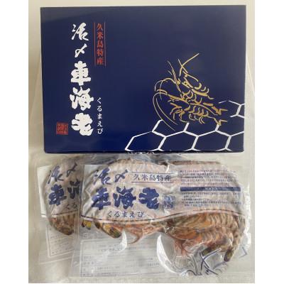 ふるさと納税 久米島町 久米島漁協の活〆冷凍車海老　生食用1kg |  | 01