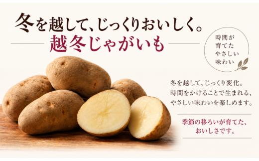 【全3回／きたあかり】じゃがいもは、寝かせるほどおもしろい。新じゃが・越冬・1年熟成定期便 【ふるさと納税 人気 おすすめ ランキング おつまみ ジャガイモ じゃがいも 芋 いも じゃがバター コロッ