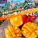 【ふるさと納税】【先行予約】産地直送！石垣島産 マンゴー 食べ比べセット4～4.5kg (3～4種) (2025年6月中旬～8月下旬発送) | ふるさと納税 マンゴー 果物 くだもの フルーツ 果実 国産 沖縄県 石垣島 ふるさと 人気 送料無料 IF-8