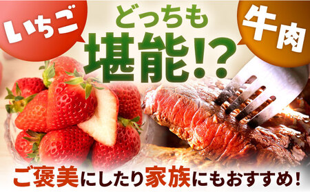 【先行予約】【12回定期便】産地直送！白石町産 いちごと牛肉の極上定期便 [IZZ015]